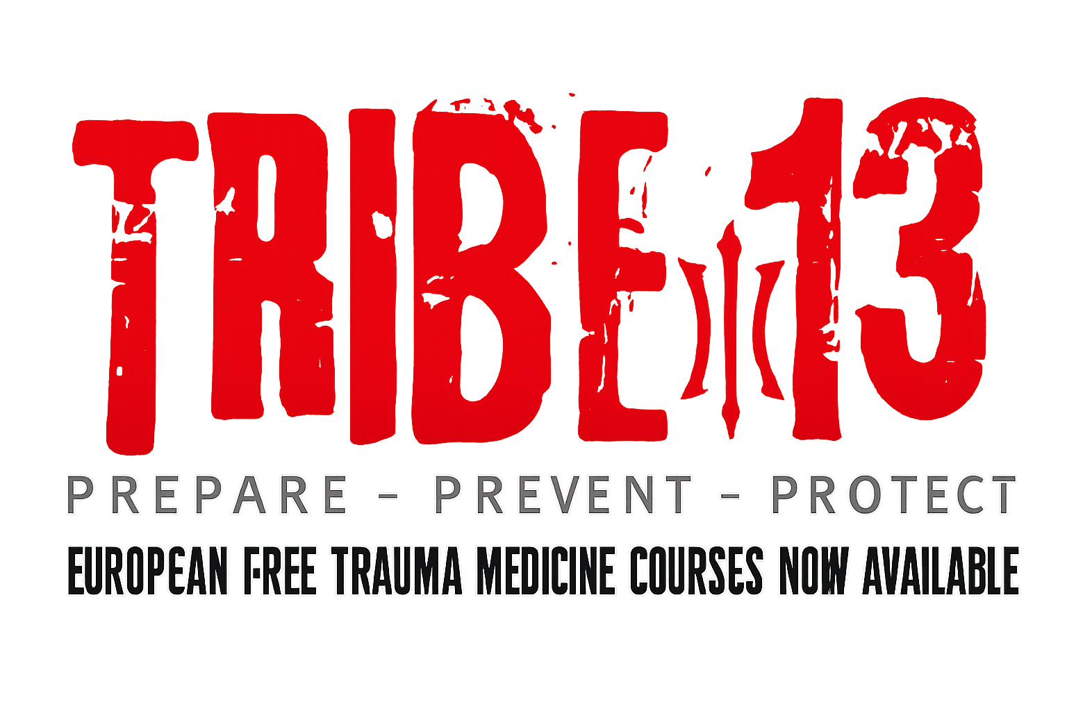 Trauma School Medicine European Courses